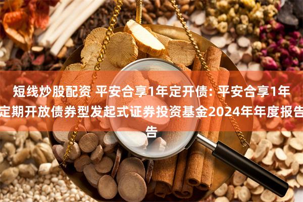 短线炒股配资 平安合享1年定开债: 平安合享1年定期开放债券型发起式证券投资基金2024年年度报告