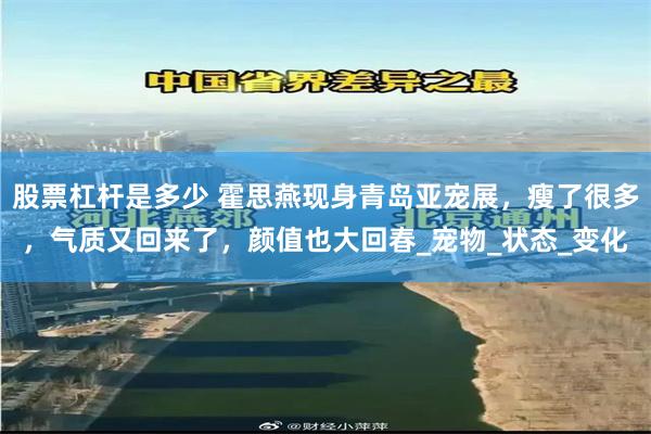 股票杠杆是多少 霍思燕现身青岛亚宠展，瘦了很多，气质又回来了，颜值也大回春_宠物_状态_变化