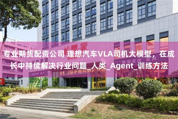 专业期货配资公司 理想汽车VLA司机大模型，在成长中持续解决行业问题_人类_Agent_训练方法