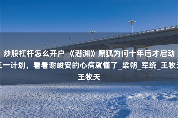 炒股杠杆怎么开户 《潜渊》黑狐为何十年后才启动三一计划，看看谢峻安的心病就懂了_梁朔_军统_王牧天
