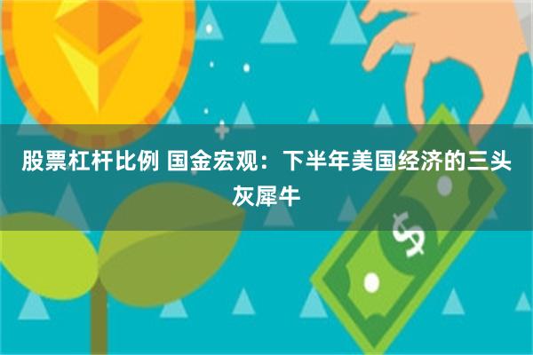 股票杠杆比例 国金宏观：下半年美国经济的三头灰犀牛