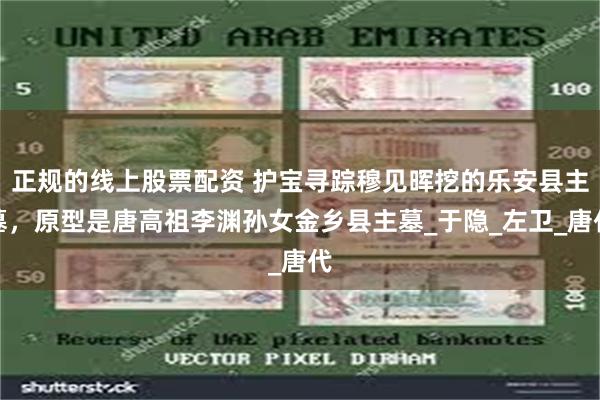 正规的线上股票配资 护宝寻踪穆见晖挖的乐安县主墓，原型是唐高祖李渊孙女金乡县主墓_于隐_左卫_唐代