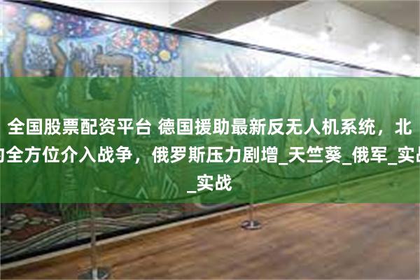 全国股票配资平台 德国援助最新反无人机系统，北约全方位介入战争，俄罗斯压力剧增_天竺葵_俄军_实战