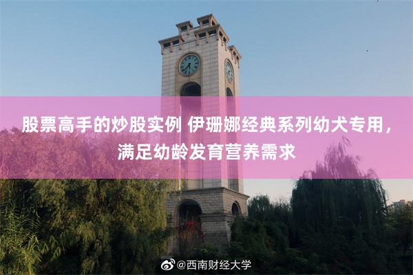 股票高手的炒股实例 伊珊娜经典系列幼犬专用，满足幼龄发育营养需求