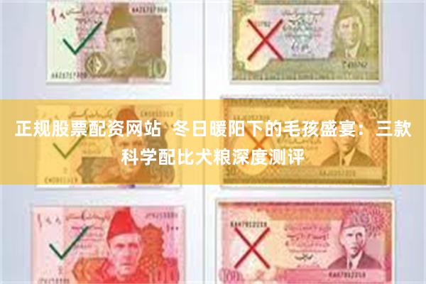 正规股票配资网站  冬日暖阳下的毛孩盛宴：三款科学配比犬粮深度测评