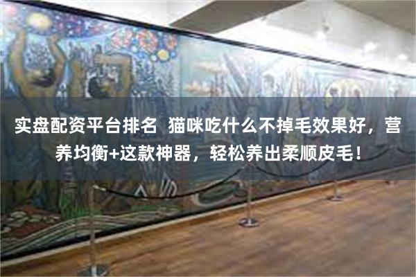 实盘配资平台排名  猫咪吃什么不掉毛效果好，营养均衡+这款神器，轻松养出柔顺皮毛！
